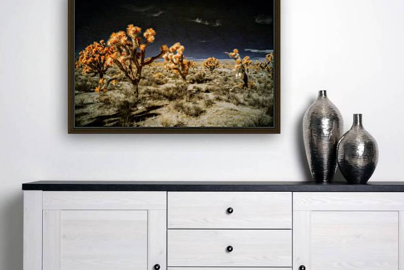 Joshuas Celestial Canopy by Dream World Images