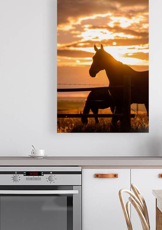 Sunset Silhouette: Portrait of Ernie by Dream World Images