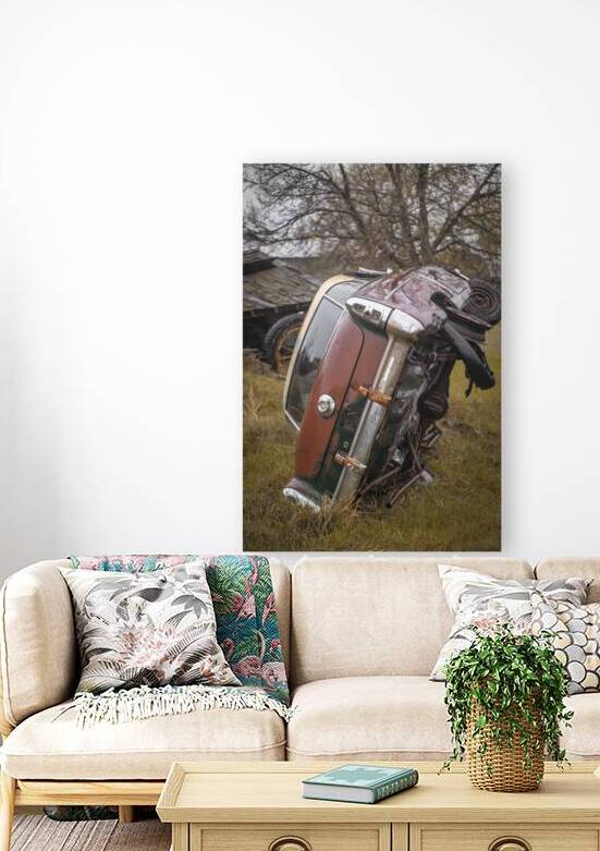 Rustic Relic   Nebraska Mercury by Dream World Images
