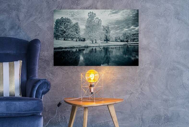 Silent Sentinels: Stonewalls Childhood Trees by Dream World Images