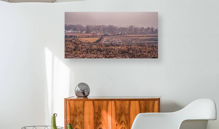 Oatmeal Fence by Dream World Images