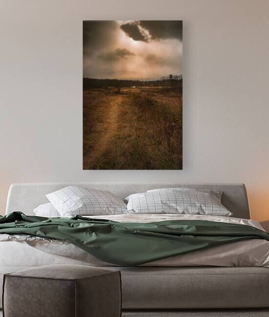 Hazel Row by Dream World Images