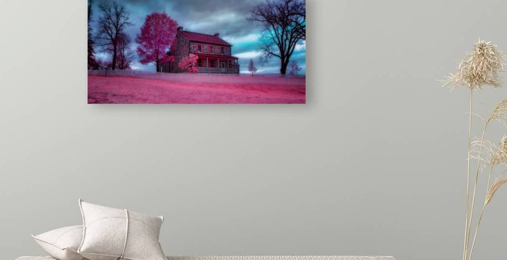 Rose Farm Dream by Dream World Images