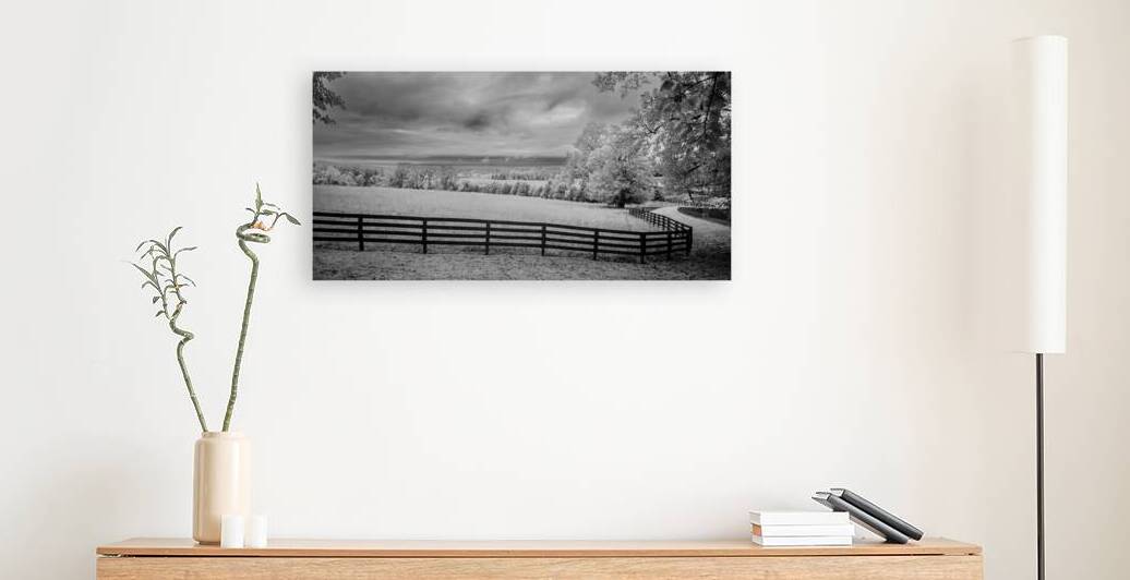 Lines of Legacy by Dream World Images