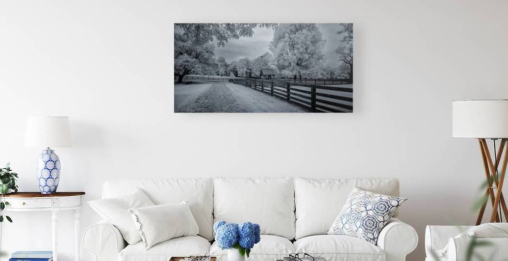 Pathways to Peace by Dream World Images