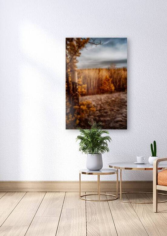 Mueller Aspen Series: by Dream World Images