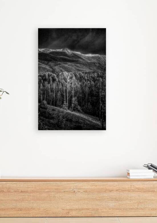 Mueller Aspen Series: Hillside Tranquility by Dream World Images