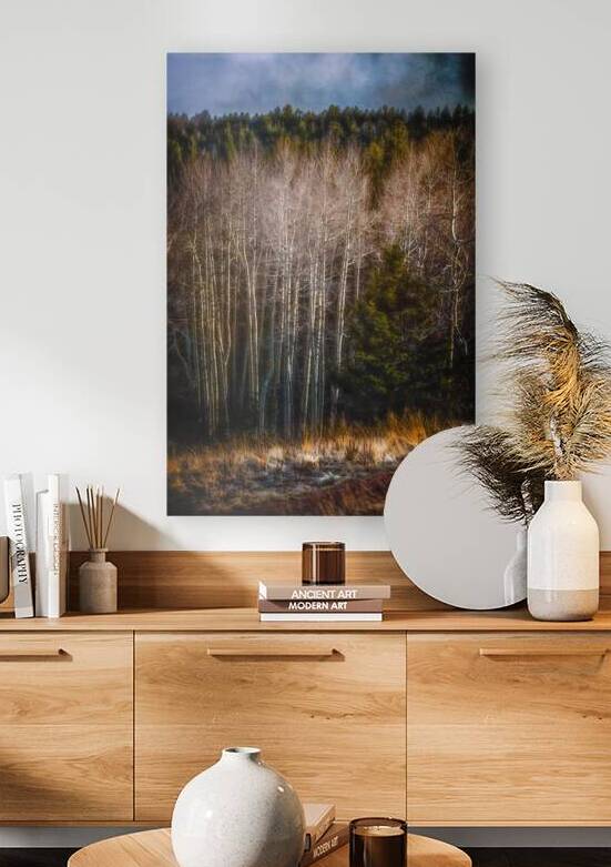 Mueller Aspen Series: Whispers of Fall by Dream World Images