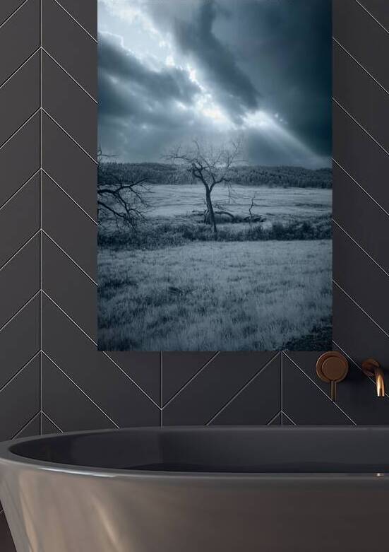 Solace in Solitude: A Blue Lighted Tree in Infrared by Dream World Images