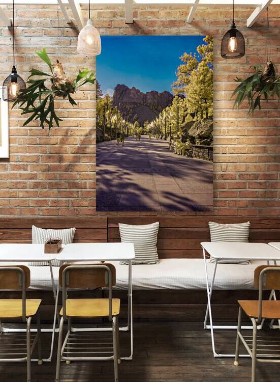 State Flags Row: Infrared Gaze at Mount Rushmore by Dream World Images