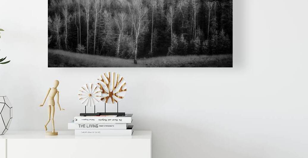 Mueller Aspen Series: Lighted Aspen by Dream World Images