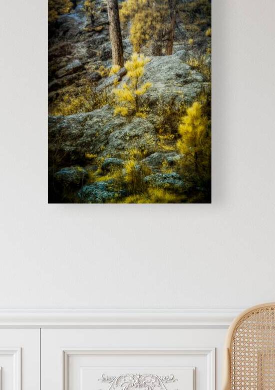 Solitude Amidst Serenity: The Lone Pine Tree by the Lake by Dream World Images