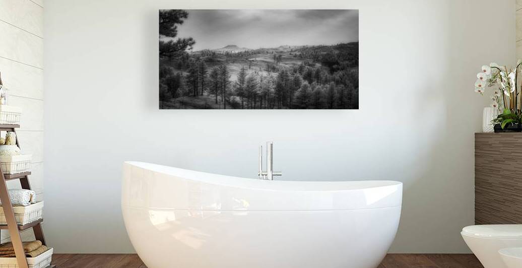 Shadows of The Pines: Exploring the Wilderness of Custer State P by Dream World Images