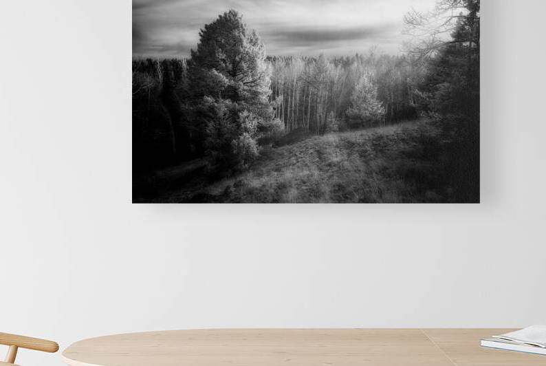 Mueller Aspen Series: Natures Finale by Dream World Images