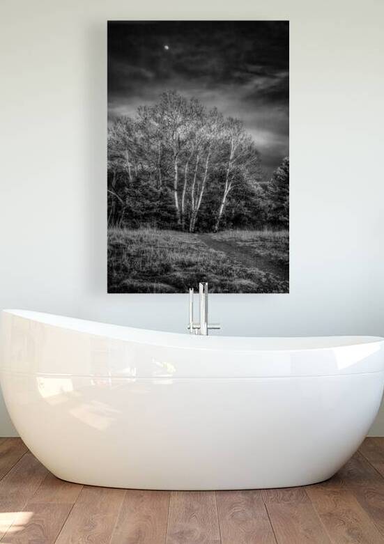 Mueller Aspen Series: Aspen Moon by Dream World Images