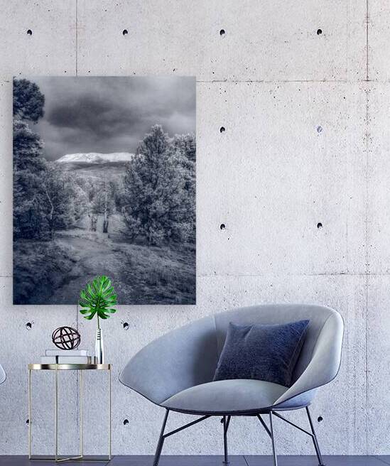 Mueller Aspen Series: Mountain Trail Tranquility by Dream World Images