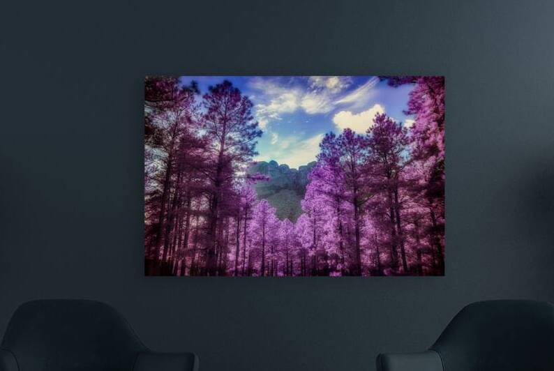 Mount Rushmore Purple Majesty: Infrared Beauty Amidst the Trees by Dream World Images