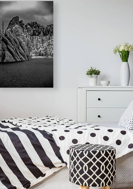 Sylvan Serenity: A Monochrome Tale of Natures Harmony in Custer  by Dream World Images