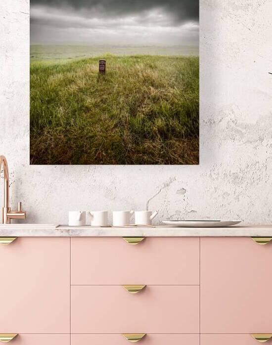 Storming Headstone: A Heroic Quest Through Eastern Montanas Bat by Dream World Images