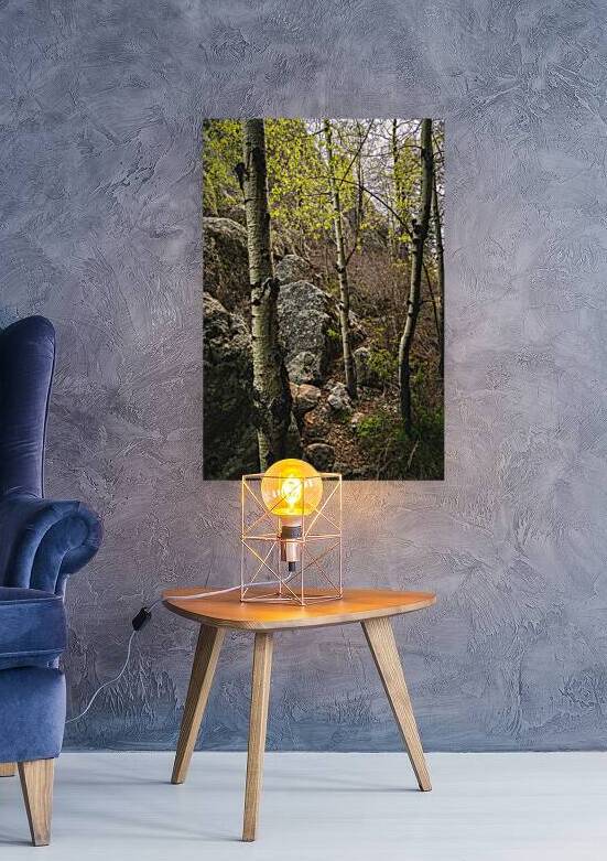 Discovering Hidden Beauty: Aspen Grove Behind the Lake by Dream World Images