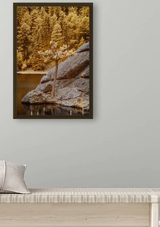 Pine Serenity: An Glimpse of Sylvan Lakes Tranquility by Dream World Images