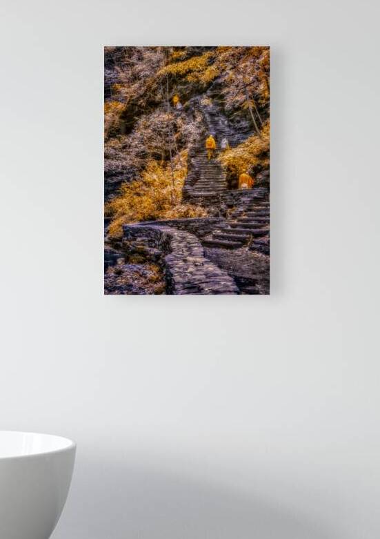Golden Steps Ascent: A Color Infrared Symphony in Watkins Glen by Dream World Images