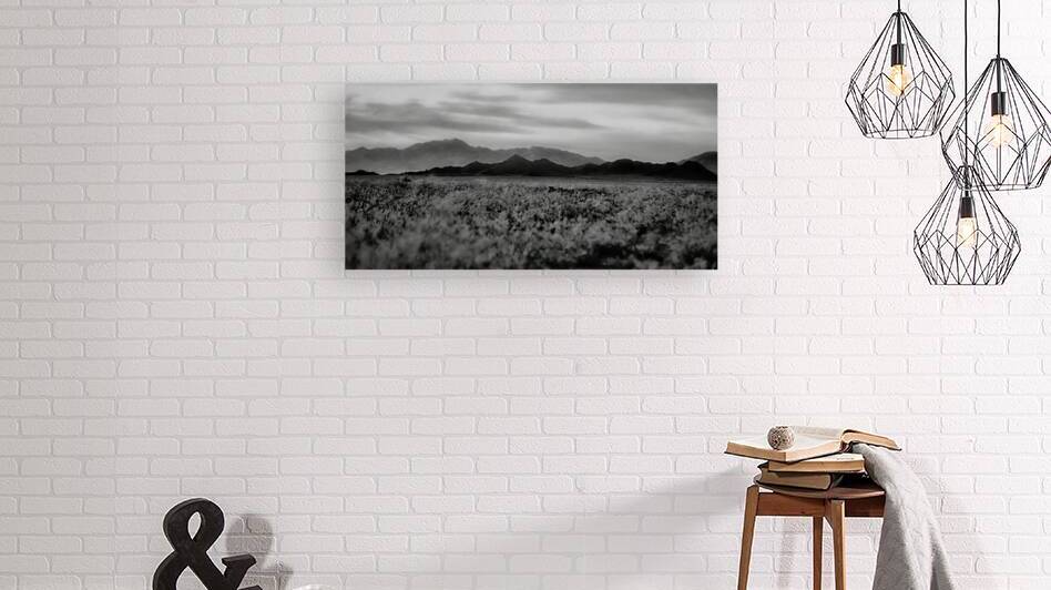 Waves of Solitude Across the Arid Horizon by Dream World Images