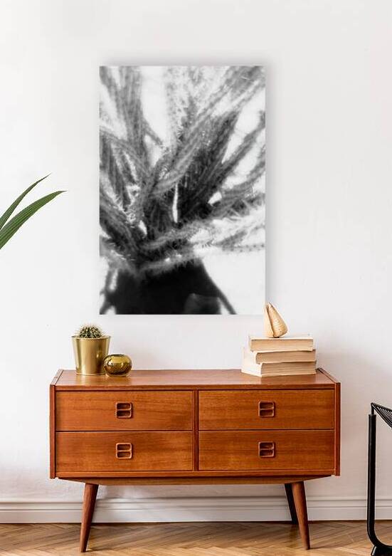 Prickly Dance on a Blurred Canvas by Dream World Images