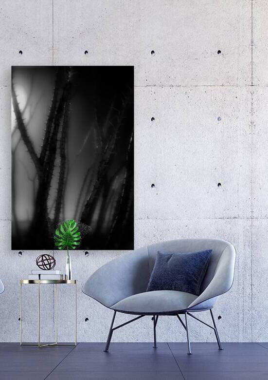 Shadows Weave Through Thorned Spire by Dream World Images