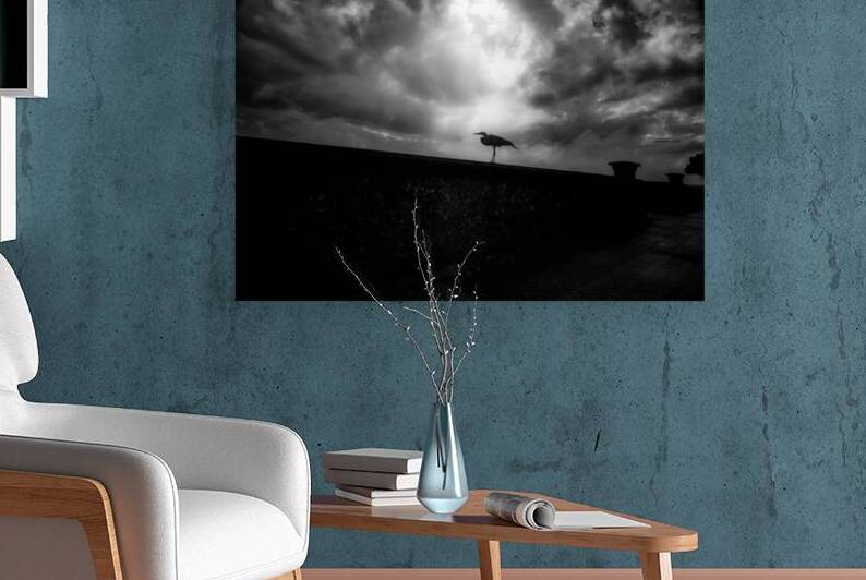 Rainy Day Stroll: Capturing Serenity with a Silhouetted Bird in  by Dream World Images