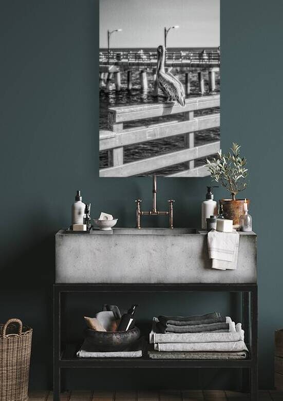 Oceans Guardian: Black and White Infrared Capture of Pelican on  by Dream World Images