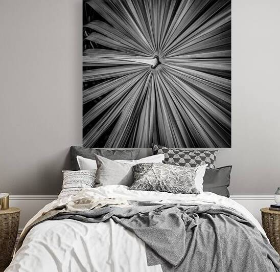 Palm Symmetry Elegance by Dream World Images