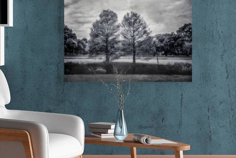 Mystical Twins: Unveiling the Beauty of Venetian Gardens in Lees by Dream World Images