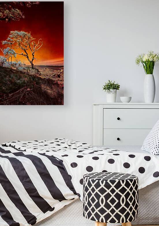 Ruby Bonsai: A Botanical Marvel Unveiled on Driftwood Beach by Dream World Images