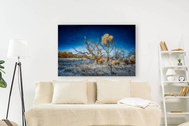 Isolated Serenity: Rows End by Dream World Images