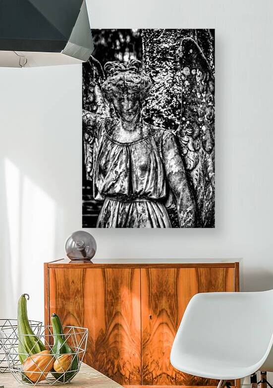 Silent Sorrow: Unveiling the Grieving Guardian at Oak Grove Ceme by Dream World Images