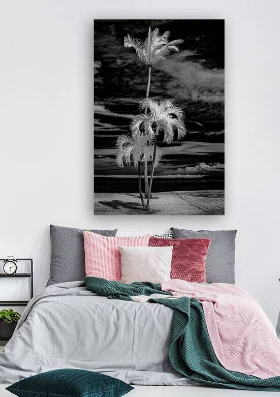 Texture of the Tropics by Dream World Images