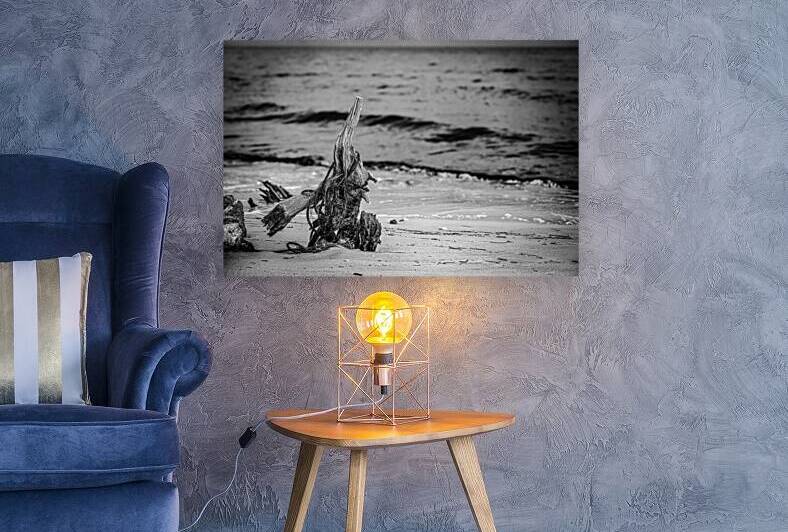 Driftwood Rhapsody on Serene Sands by Dream World Images