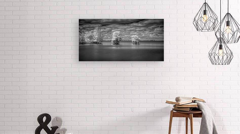 Tranquil Cypress Dreams: Santee State Park by Dream World Images