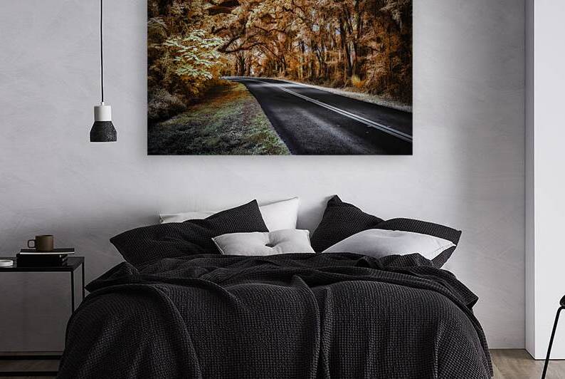 Ocala Secret: Infrared Curve by Dream World Images