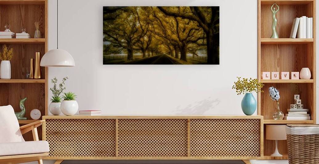 Saint Bernards Tree Road by Dream World Images