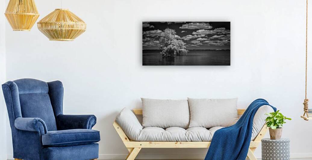 Cypress Dreams by Dream World Images