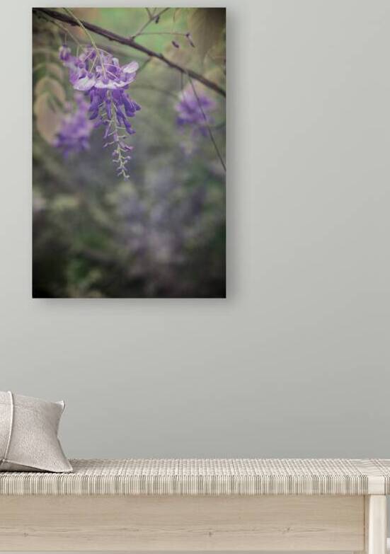Wisterias Whisper by Dream World Images