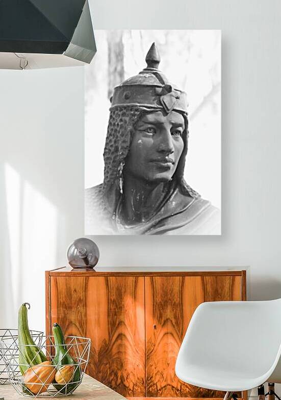 Southern Sentinel by Dream World Images