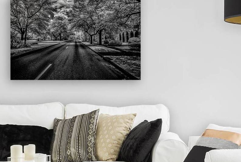 Eufaula Elegance: A Monochromatic Journey Through Time by Dream World Images