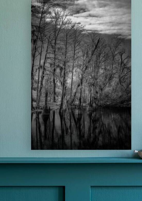 Whispers of the Bayou by Dream World Images