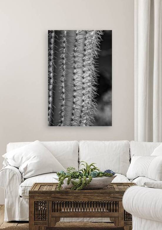 Prickly Pathway by Dream World Images