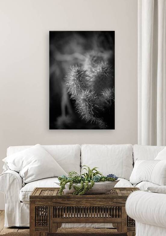 Shadowed Texture of the Cactus Realm by Dream World Images