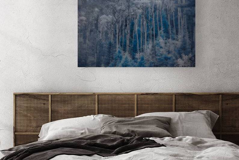 Ethereal Blue Amidst Monochrome Forest by Dream World Images