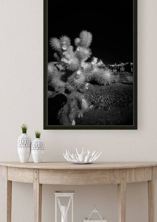 Intricate Dance of Cactus Spines by Dream World Images